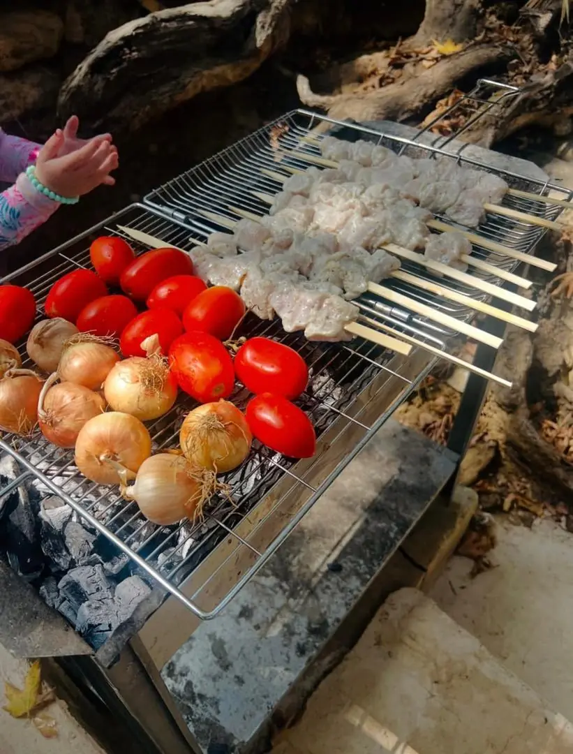 Brochettes de poulet